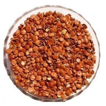 探索棗仁的多重價值 從傳統藥材到現代市場